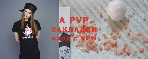 шишки Надым