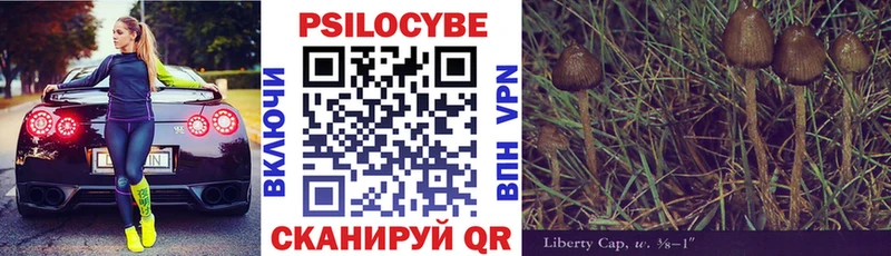 Псилоцибиновые грибы Psilocybe  купить наркоту  Шебекино 