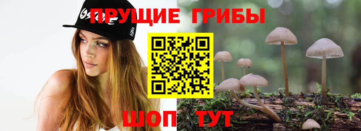 Шебекино  Псилоцибиновые грибы прущие грибы  Вход с VPN 